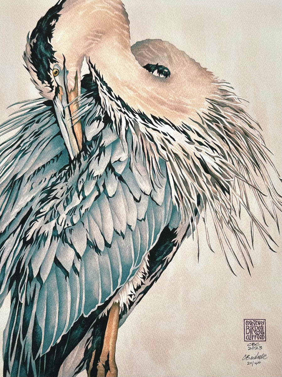 PREENING Scanlon Gallery & Custom Framing