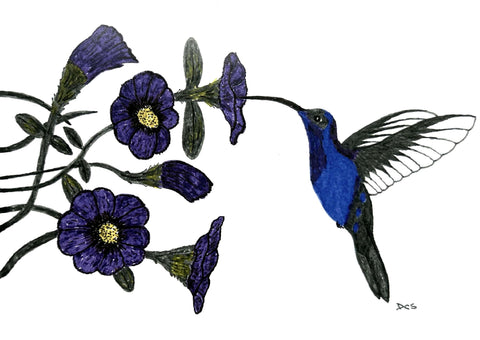 HUMMINGBIRD ART CARD