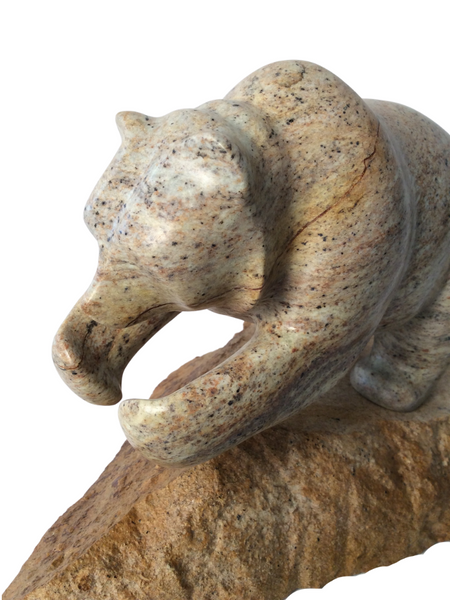 DIVING BEAR WITH BASE 8"