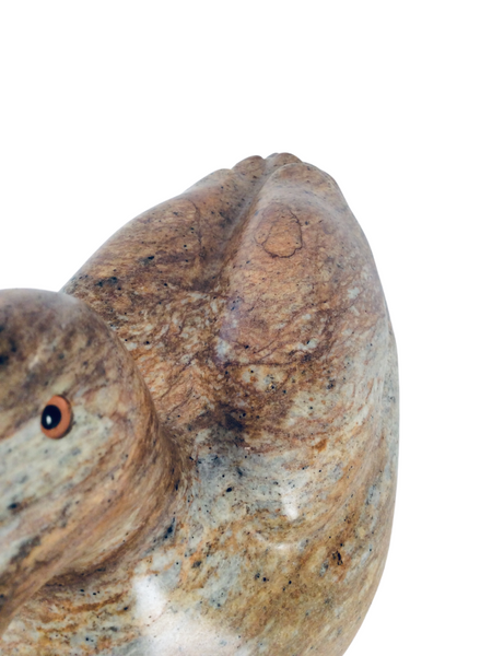 MALLARD DUCK 10 INCHES