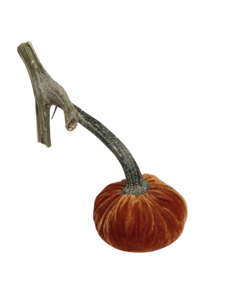 PERSIMMON VELVET PUMPKIN 3"
