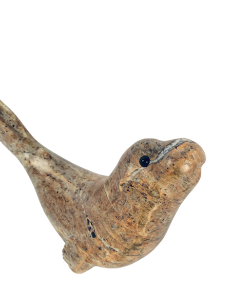 SEAL ARCHING BACK 6"