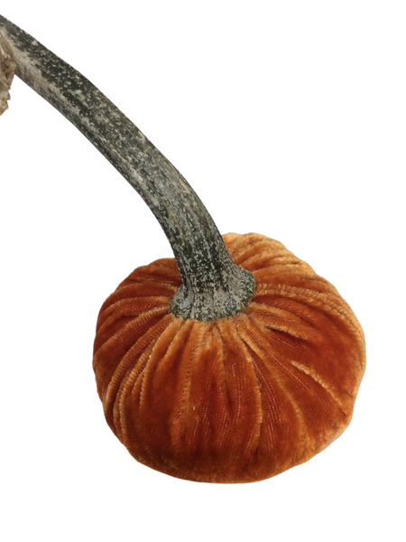 PERSIMMON VELVET PUMPKIN 3"