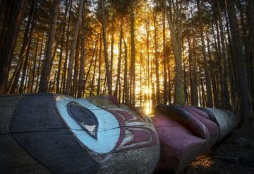 LEGENDS OF THE FOREST 18X12 LANDSCAPE