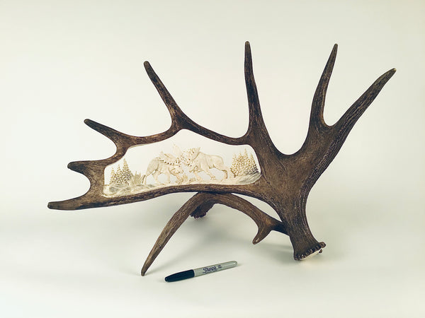 FIGHTING MOOSE STANDING ANTLER CARVING