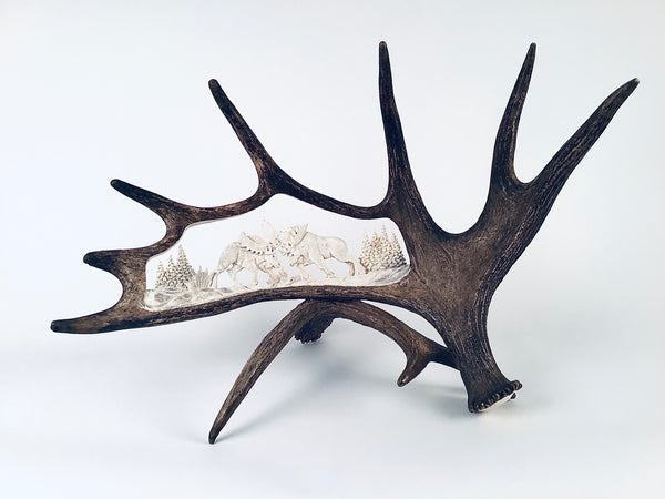 FIGHTING MOOSE STANDING ANTLER CARVING