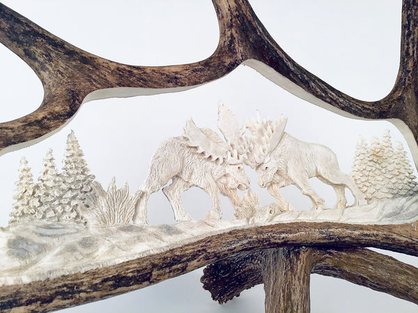 FIGHTING MOOSE STANDING ANTLER CARVING