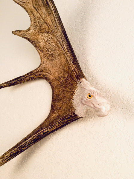 SOARING EAGLE 15" - 18" WALL ANTLER CARVING