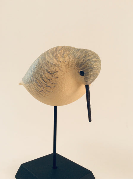 SANDPIPER LOOKING DOWN