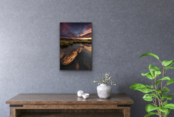 LOG AT TOTEM BIGHT BEACH 12x18 PHOTO ON METAL