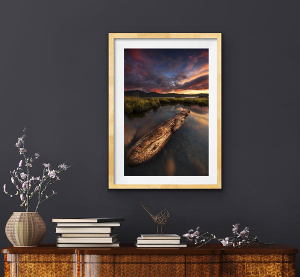 LOG AT TOTEM BIGHT BEACH 12X18