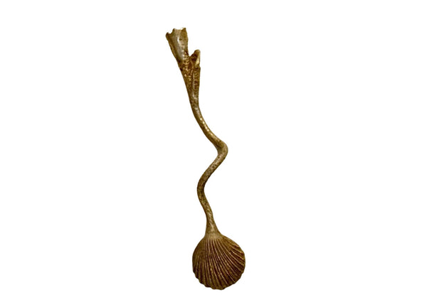 SEASHELL SALT DISH GOLD CORAL