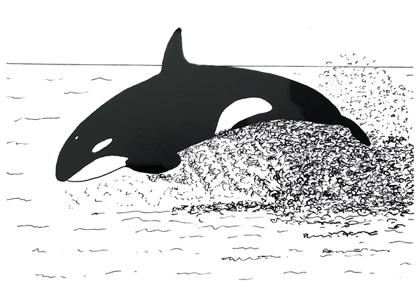 ORCA BREACHING ART CARD