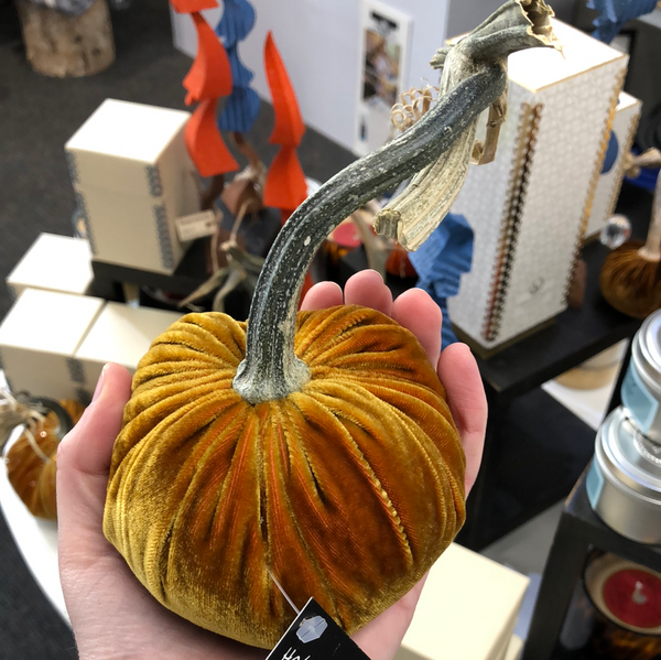 D'OR VELVET PUMPKIN 4"