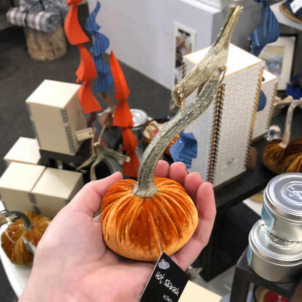 PERSIMMON VELVET PUMPKIN 3"