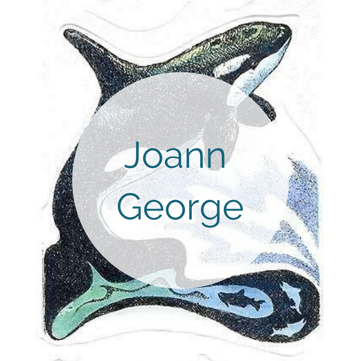 Joann Scanlon Gallery & Custom Framing