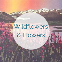 Wildflowers &amp; Flowers