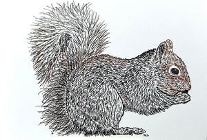 SQUIRREL ART CARD