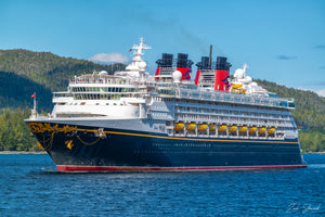 DISNEY WONDER