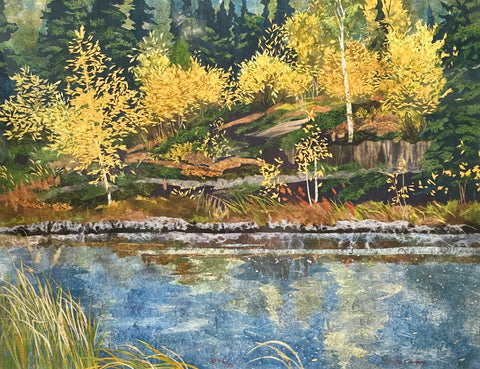 KALEIDOSCOPE OF COLOR II 46/50