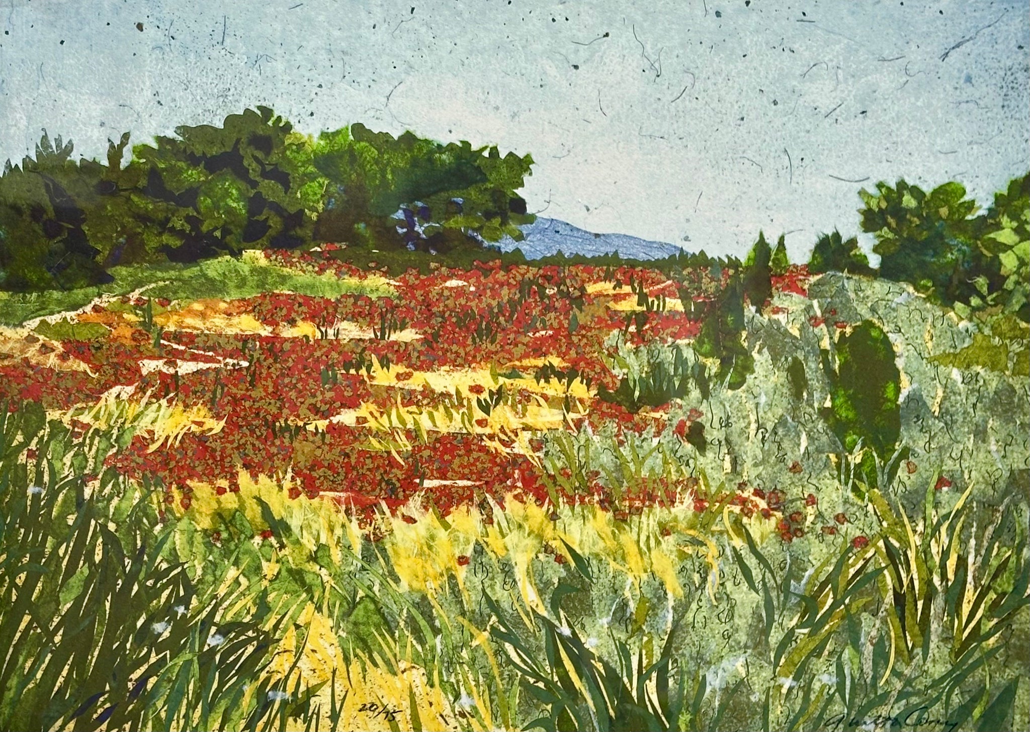 POPPYFIELD PROVENCE 20/75
