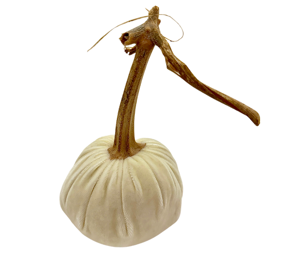 IVORY VELVET PUMPKIN 4"