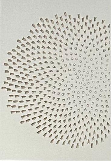 CORAL WHITE 13 X 18 1/2
