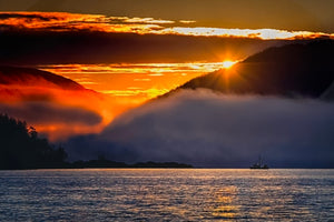 GOOD MORNING DAVE 9X6 PHOTO ON METAL