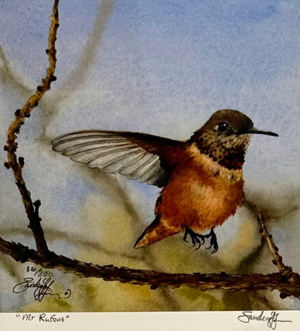 MR RUFOUS