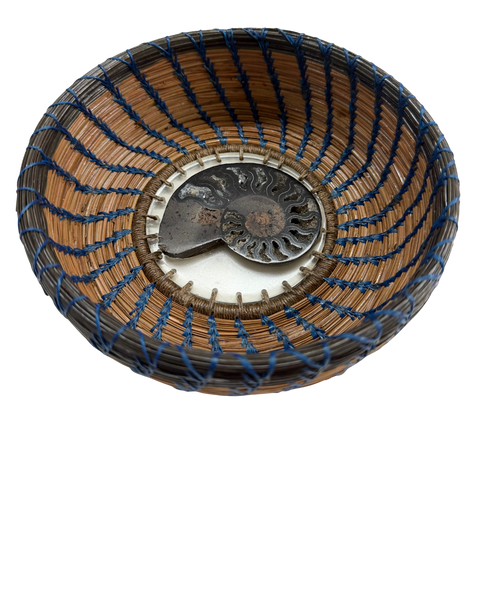 LARGE AMMONITE DARK BLUE THREADING