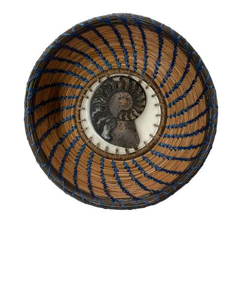 LARGE AMMONITE DARK BLUE THREADING