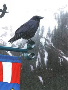 MOUNT JUNEAU RAVEN