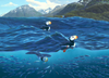 PUFFIN PARADISE