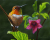 RUFOUS