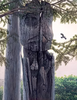 VILLAGE ISLAND SENTINEL