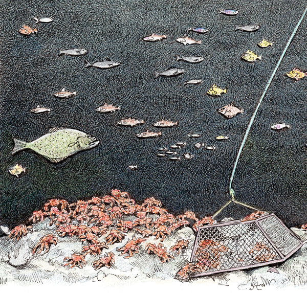 CRAB POT #2