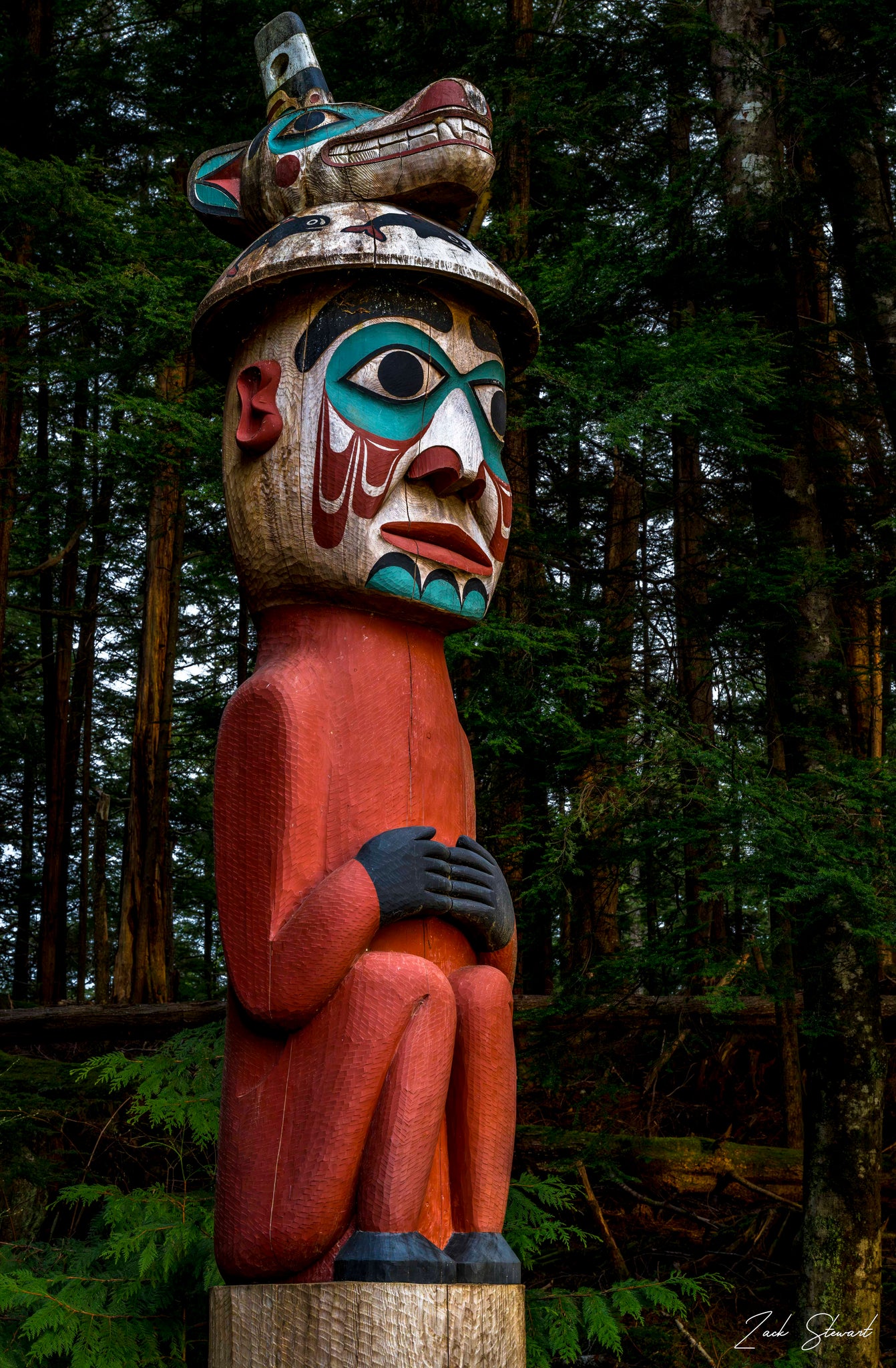 MAN WEARING BEAR HAT PHOTO 8X12