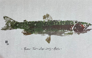 RAINBOW TROUT GYOTAKU