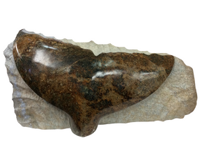 WHALE TAIL WITH BASE 18"