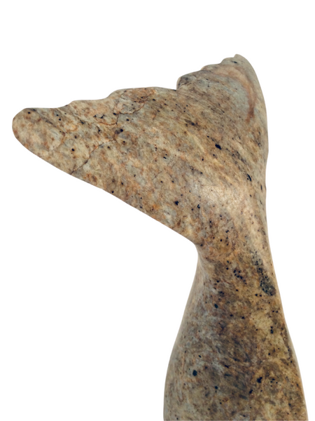 WHALE TAIL 6"