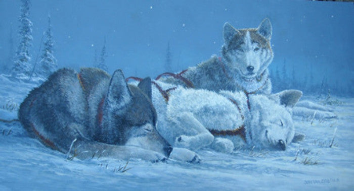 THREE DOG NIGHT - 2017 IDITAROD PRINT