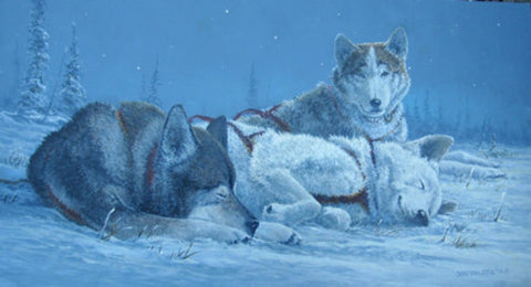 THREE DOG NIGHT - 2017 IDITAROD PRINT