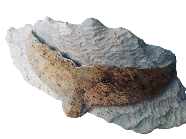 WHALE TAIL WITH BASE 14"