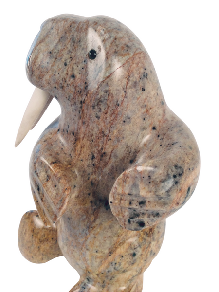 DANCING WALRUS 6"