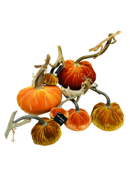 D'OR VELVET PUMPKIN 4"