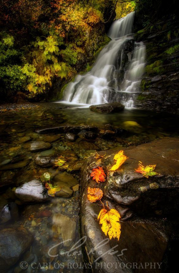 VALDEZ AUTUMN WATERFALL