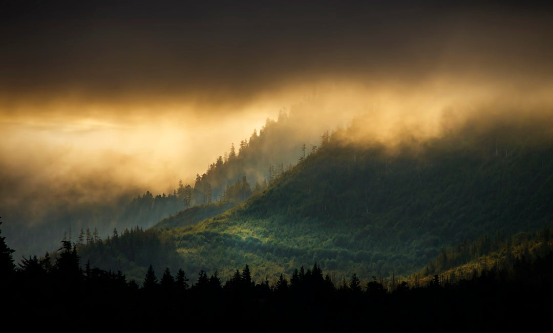 SUNRISE OVER THE TONGASS NATIONAL FOREST 18x12