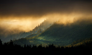 SUNRISE OVER THE TONGASS NATIONAL FOREST 18x12