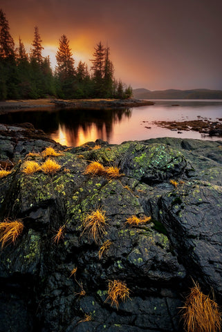 TUFTS AND SUNSET 12X18 PHOTO ON METAL