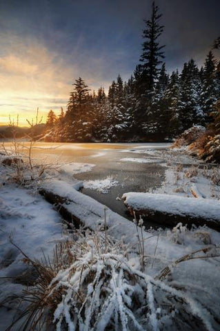 WINTER GLOW AT CARLANNA LAKE 12X18